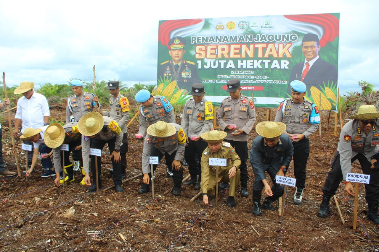 Penanaman Bibit Jagung secara simbolis